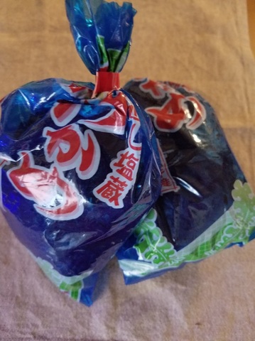 20190330_074951.jpg